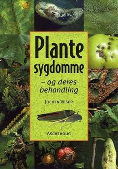Plantesygdomme og deres behandling