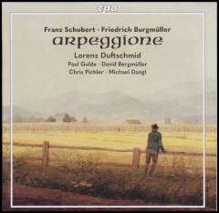 Arpeggione