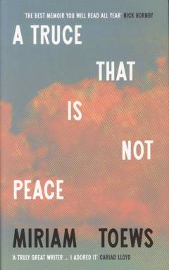 A truce that is not peace : life and death so far