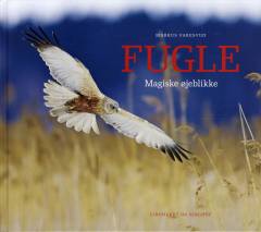 Fugle - magiske øjeblikke