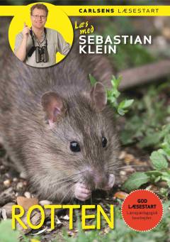 Bog, 1. udgave, 2017