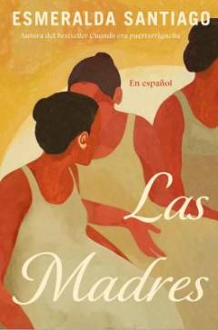 Las madres : una novela