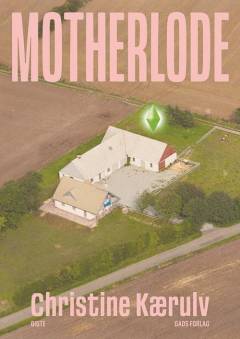 Motherlode : digte