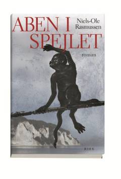 Aben i spejlet