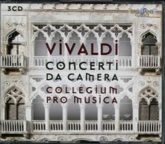 Concerti di camera