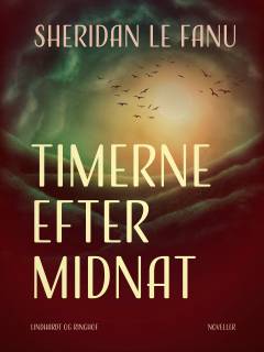 Timerne efter midnat : gyserhistorier