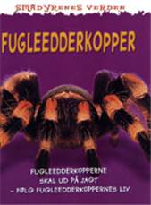 Fugleedderkopper