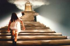 Film (online), 2008
