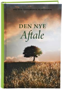 Den Nye Aftale : Det Nye Testamente på nudansk