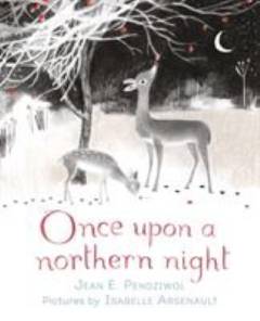 Once upon a northern night