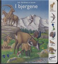 I bjergene