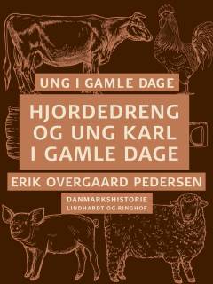 Ung i gamle dage : Danmarkshistorie. 3 : Hjordedreng og ung karl i gamle dage