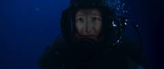 The dive