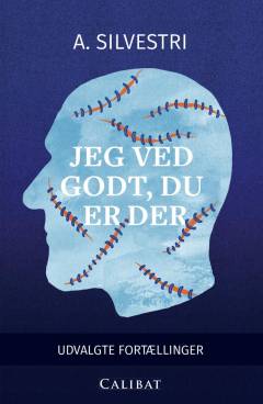 Jeg ved godt, du er der : udvalgte fortællinger
