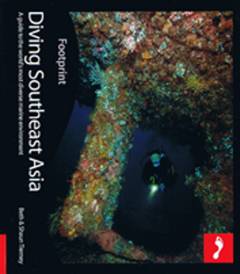 Diving Southeast Asia : a guide to the world's most diverse marine environment