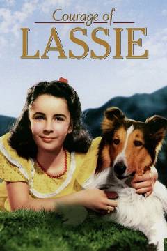 Lassies bedrifter