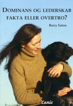 Rundering i teori og praksis