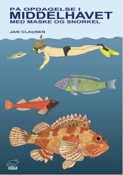 På opdagelse i Middelhavet med maske og snorkel
