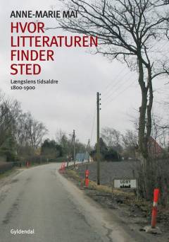 Hvor litteraturen finder sted : bidrag til dansk litteraturs historie. Bind 2 : Længslens tidsaldre - 1800-1900