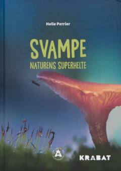 Svampe : naturens superhelte