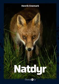 Bog, 1. udgave, 2020