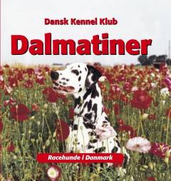 Dalmatiner