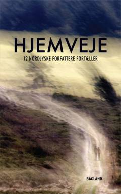 Hjemveje : 12 nordjyske forfattere fortæller