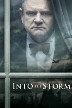 Into the storm