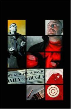 Daredevil : the man without fear!. Volume 13 : The Murdock papers