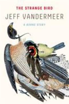 The strange bird : a Borne story