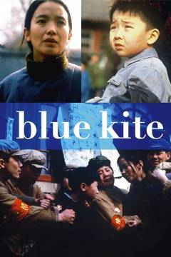 Film (dvd), 2005