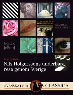 Nils Holgerssons underbara resa
