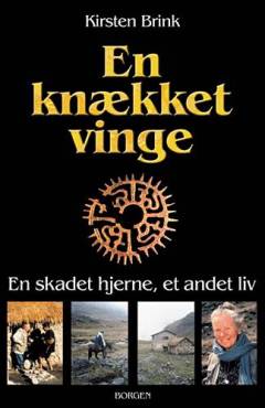 En knækket vinge : en skadet hjerne et andet liv