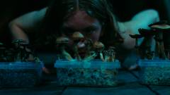 Det store glitch / Paradisets børn