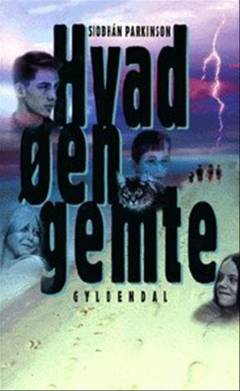 Hvad øen gemte