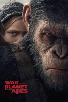 Film (dvd), 2017