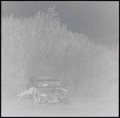 Musik (cd), ℗2024