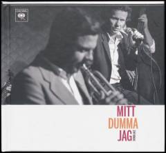 Mitt dumma jag