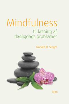 Mindfulness til løsning af dagligdags problemer