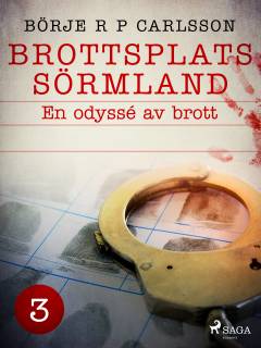 Brottsplats Sörmland. 3, En odyssé av brott