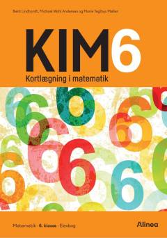 Kim 6 : kortlægning i matematik
