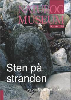Sten på stranden