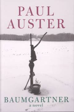 Baumgartner : a novel
