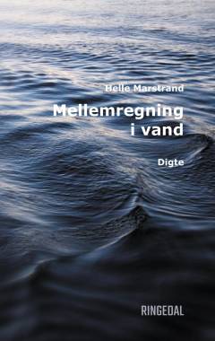 Mellemregning i vand : digte