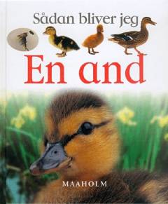 Sådan bliver jeg en and