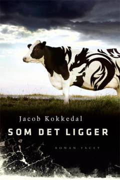 Som det ligger