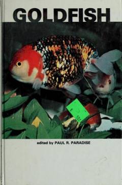 Guldfisk