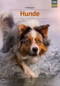 Silje og de vilde hunde