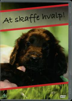 Film (dvd), 2008