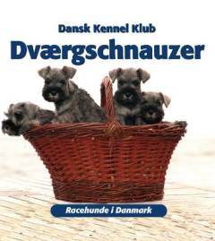 Dværgschnauzer
